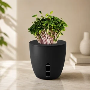 Aesthetic Plant Pot